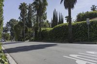 the streets are lined with greenery and palm trees near a sidewalk on a clear day