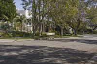 a man on a skateboard in the middle of a residential street with trees in the background