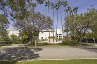 a tree lined street in front of a white building with palm trees on it and some bushes around