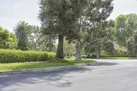 a street with a road markers, trees and bushes along side a residential house entrance