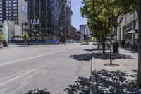 a man riding a bike down a street next to tall buildings and trees with a bunch of animals on the sidewalk