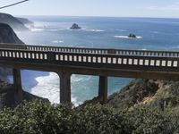 a bridge that leads down to the ocean and ocean on one side of it is large, green shrubs