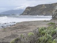 the coastline is rocky and grassy by the water's edge and an area with vegetation