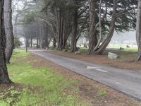 Big Sur, California: A Path Through Forests and Nature