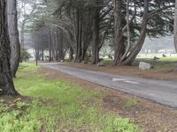 Big Sur, California: A Path Through Forests and Nature