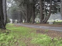 Big Sur, California: A Path Through Forests and Nature