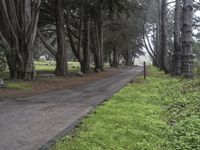 Big Sur, California Landscape: Road and Nature