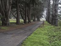 Big Sur, California Landscape: Road and Nature