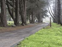 Big Sur, California Landscape: Road and Nature