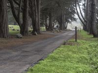 Big Sur, California Landscape: Road and Nature