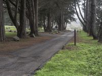 Big Sur, California Landscape: Road and Nature