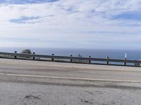 Big Sur Coastal Road with Tree and Ocean Views