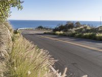 Big Sur: Stunning Landscape with Ocean Views