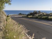 Big Sur: Stunning Landscape with Ocean Views