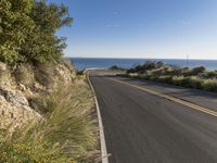 Big Sur: Stunning Landscape with Ocean Views