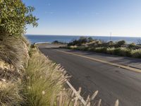 Big Sur: Stunning Landscape with Ocean Views