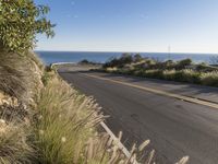 Big Sur: Stunning Landscape with Ocean Views