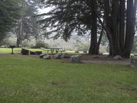 the park is grassy and full of trees, rocks, benches and an area with picnic tables