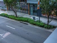 a person is riding a bike down the street on the sidewalk, next to trees and shrubs