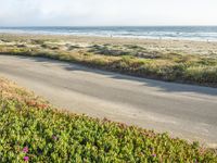 a person on a bike in the middle of the road looking out to the ocean