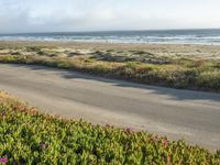 a person on a bike in the middle of the road looking out to the ocean