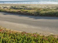 a person on a bike in the middle of the road looking out to the ocean