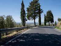 a couple of bikers are riding down the road near some trees and bushes and hills