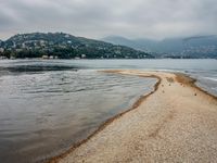 birds walking on the shore line of a calm beach with mountains in the background, during an overcast, dark, cloudy day