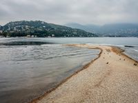 birds walking on the shore line of a calm beach with mountains in the background, during an overcast, dark, cloudy day