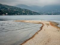 birds walking on the shore line of a calm beach with mountains in the background, during an overcast, dark, cloudy day