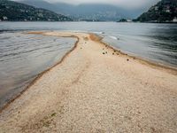 birds walking on the shore line of a calm beach with mountains in the background, during an overcast, dark, cloudy day