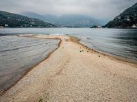 birds walking on the shore line of a calm beach with mountains in the background, during an overcast, dark, cloudy day