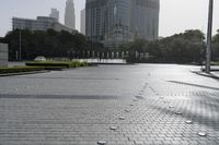 many birds are scattered around a plaza with skyscrapers behind them in a city setting