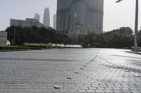 many birds are scattered around a plaza with skyscrapers behind them in a city setting