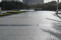 many birds are scattered around a plaza with skyscrapers behind them in a city setting