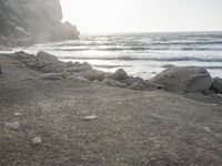 a black dog lying on top of a beach next to the ocean on top of rocks