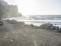 a black dog lying on top of a beach next to the ocean on top of rocks