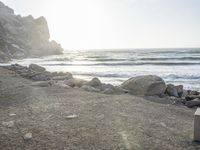 a black dog lying on top of a beach next to the ocean on top of rocks