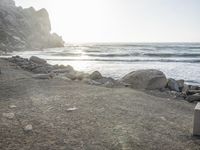 a black dog lying on top of a beach next to the ocean on top of rocks