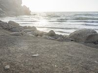 a black dog lying on top of a beach next to the ocean on top of rocks