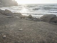 a black dog lying on top of a beach next to the ocean on top of rocks