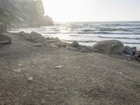 a black dog lying on top of a beach next to the ocean on top of rocks