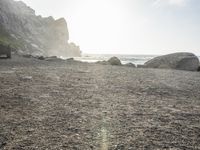 a black dog lying on top of a beach next to the ocean on top of rocks