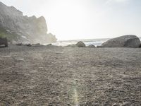 a black dog lying on top of a beach next to the ocean on top of rocks