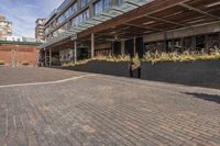 black potted planters sitting on the brick walkway outside a restaurant with tall buildings in the background