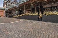 black potted planters sitting on the brick walkway outside a restaurant with tall buildings in the background