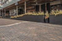 black potted planters sitting on the brick walkway outside a restaurant with tall buildings in the background