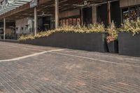 black potted planters sitting on the brick walkway outside a restaurant with tall buildings in the background