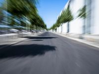 a photo that has some blurry trees in it on the street and in the middle