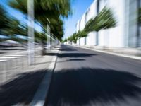 a photo that has some blurry trees in it on the street and in the middle